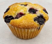 Blueberry Muffin